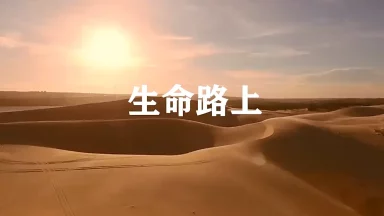 生命路上 - 圣山影视网