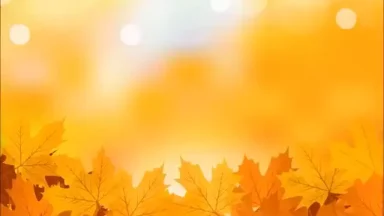 献上感恩的心 - 圣山影视网