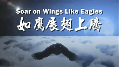 如鷹展翅上騰 - 圣山影视网
